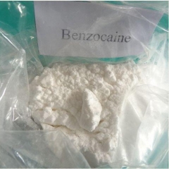 Benzocaína proveedores