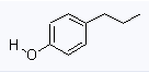 CAS 645-56-7 	4-n-Propylphenol suppliers