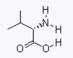 CAS 72-18-4 L-Valine suppliers